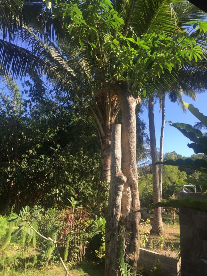 Red Island Villas Banyuwangi  Luaran gambar
